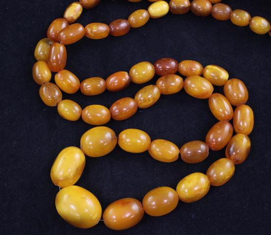 A single strand graduated amber bead necklace, 28in.